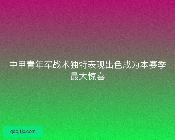 中甲青年军战术独特表现出色成为本赛季最大惊喜